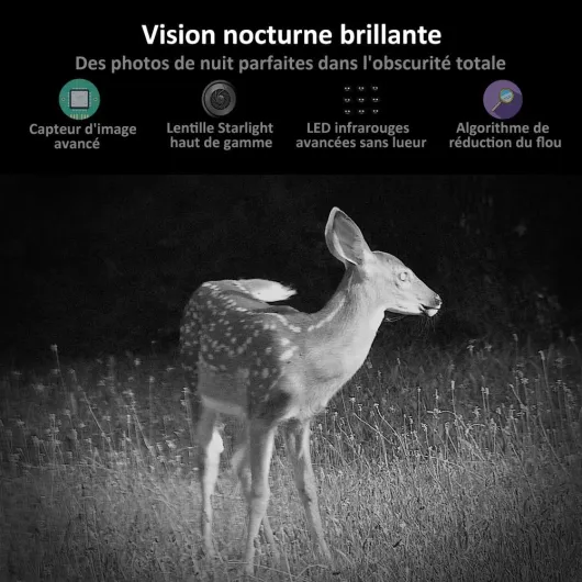 71w0aOIFbsL._AC_SL1000_