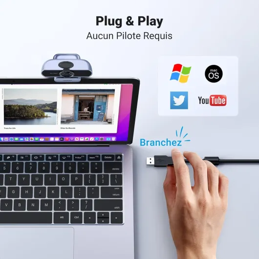 Webcam Full HD 1080P 30FPS Caméra USB PC Mise au Point Fixe Deux Micro 360 Degrés Rotation Plug Play Windows MacOS Linux Youtube Streaming Skype Appel Vidéo Zoom Vidéoconférence (Gris)