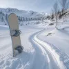 Wildlife ride en snowboard freeride : l’art de rider wild en poudreuse